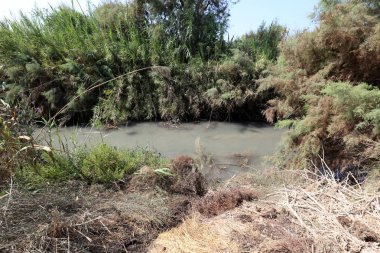 Doğa göllerde Tel Apek İsrail kuzeyde saklıdır. 