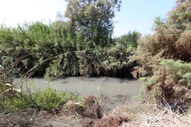 Doğa göllerde Tel Apek İsrail kuzeyde saklıdır. 