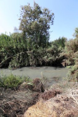 Doğa göllerde Tel Apek İsrail kuzeyde saklıdır. 