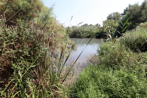 Doğa göllerde Tel Apek İsrail kuzeyde saklıdır. 