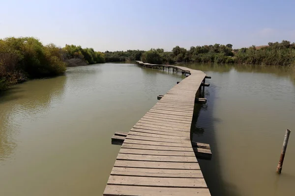 Lakes Nature Reserve Tel Apek North Israel — Stock Photo, Image