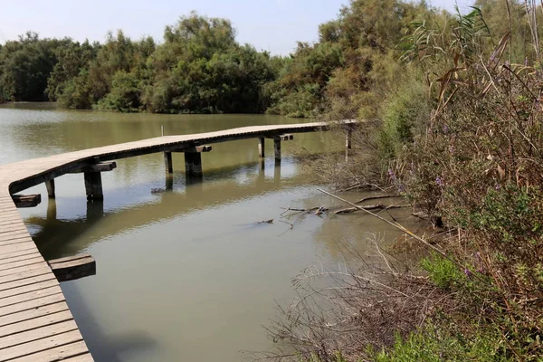 Lagos Reserva Natural Tel Apek Norte Israel — Foto de Stock