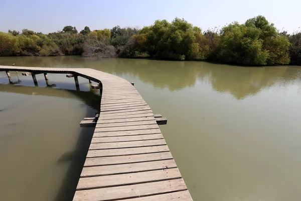 Lagos Reserva Natural Tel Apek Norte Israel — Foto de Stock