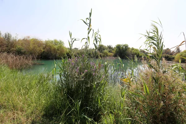 Lagos Reserva Natural Tel Apek Norte Israel — Fotografia de Stock