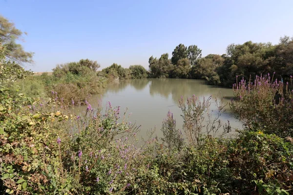 Lagos Reserva Natural Tel Apek Norte Israel — Fotografia de Stock