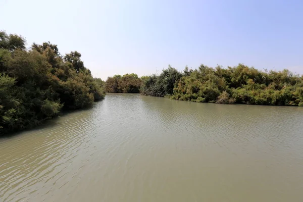 Lacs Dans Réserve Naturelle Tel Apek Dans Nord Israël — Photo