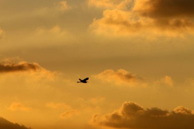 Dünya'nın gökyüzü görünümü bağlıdır günün saati, yıl ve ana hava saati. 