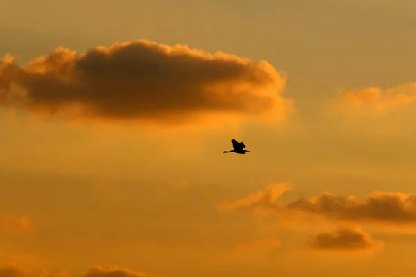 Der Blick Auf Den Irdischen Himmel Hängt Von Tageszeit Jahreszeit — Stockfoto