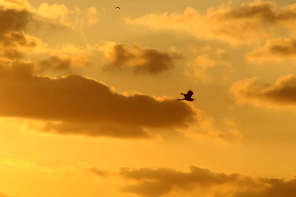 Der Blick Auf Den Irdischen Himmel Hängt Von Tageszeit Jahreszeit — Stockfoto