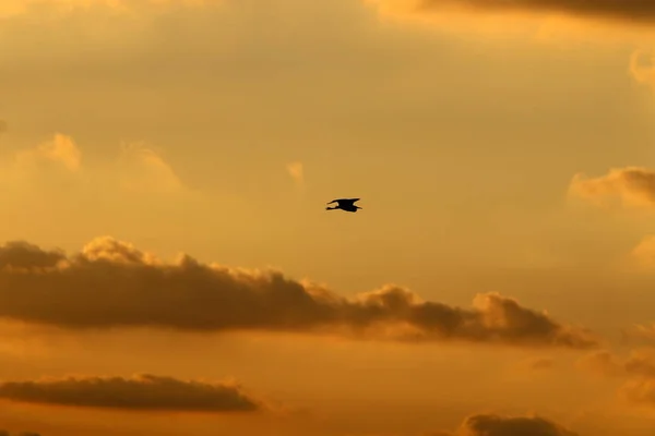 Der Blick Auf Den Irdischen Himmel Hängt Von Tageszeit Jahreszeit — Stockfoto