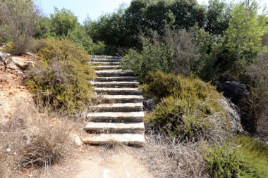 Merdiven bir bina ya da yapı unsurları olduğunu 