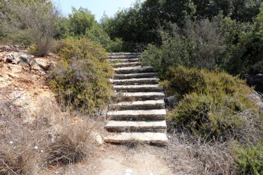 Merdiven bir bina ya da yapı unsurları olduğunu 