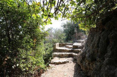 Merdiven bir bina ya da yapı unsurları olduğunu 