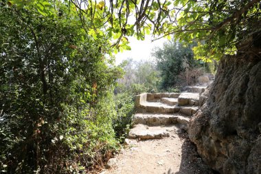 Merdiven bir bina ya da yapı unsurları olduğunu 