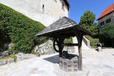 bir kova ile natürmort 