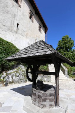 bir kova ile natürmort 