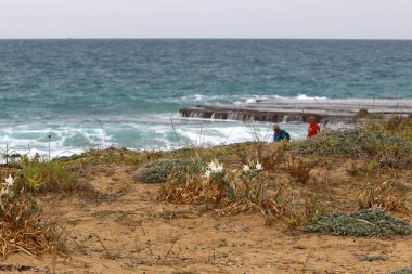 ıssız Kuzey İsrail'in Akdeniz kıyısında 