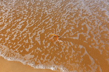 ıssız Kuzey İsrail'in Akdeniz kıyısında 