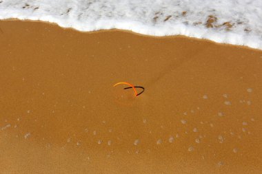 ıssız Kuzey İsrail'in Akdeniz kıyısında 