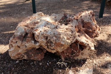 Akdeniz kıyısında açık bir parkta taş yalan 