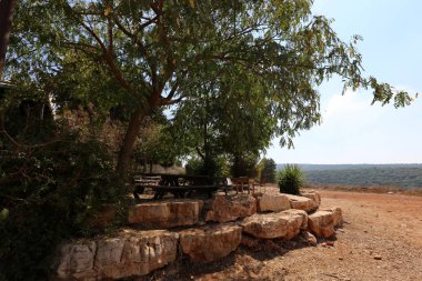 Akdeniz kıyısında açık bir parkta taş yalan 