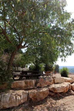 Akdeniz kıyısında açık bir parkta taş yalan 