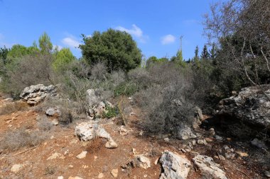Akdeniz kıyısında açık bir parkta taş yalan 