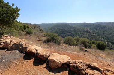 Akdeniz kıyısında açık bir parkta taş yalan 