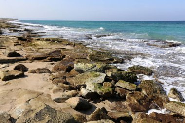 Akdeniz kıyısında açık bir parkta taş yalan 