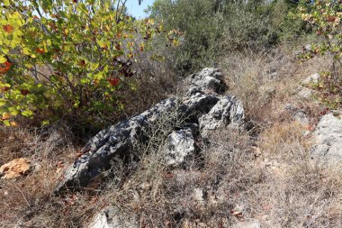 Akdeniz kıyısında açık bir parkta taş yalan 