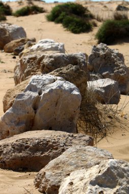 Akdeniz kıyısında açık bir parkta taş yalan 