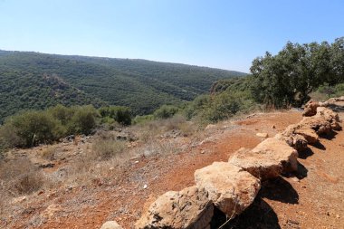 Akdeniz kıyısında açık bir parkta taş yalan 