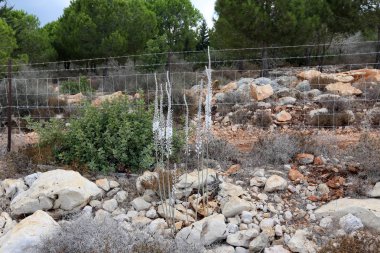 Akdeniz kıyısında açık bir parkta taş yalan 