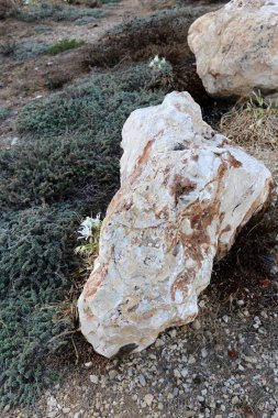 Akdeniz kıyısında açık bir parkta taş yalan 