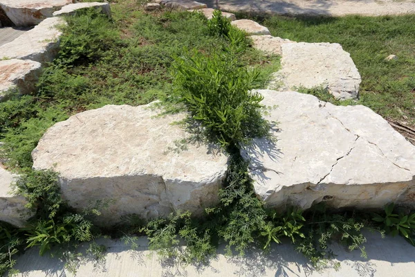 Steine Liegen Einem Offenen Park Ufer Des Mittelmeeres — Stockfoto