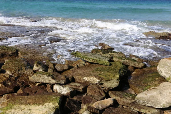 Piedras Encuentran Parque Abierto Orillas Del Mediterráneo —  Fotos de Stock