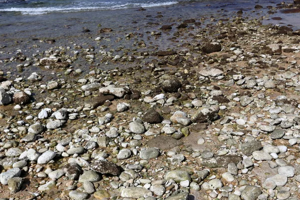 地中海のほとりにオープン公園にある石 — ストック写真