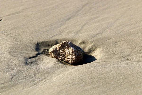 Stones Lie Open Park Shores Mediterranean — Stock Photo, Image