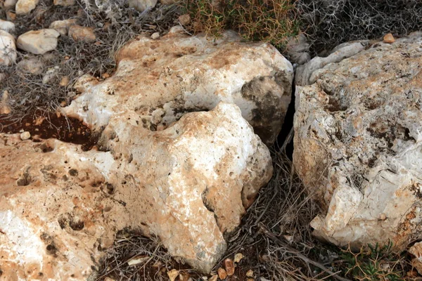 Камни Лежат Открытом Парке Берегу Средиземного Моря — стоковое фото