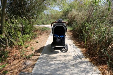 Kuzey İsrail şehir parkında yaya yolu 