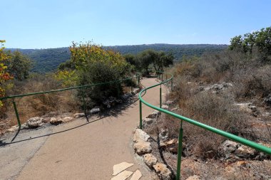 Kuzey İsrail şehir parkında yaya yolu 