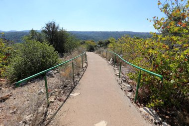 Kuzey İsrail şehir parkında yaya yolu 