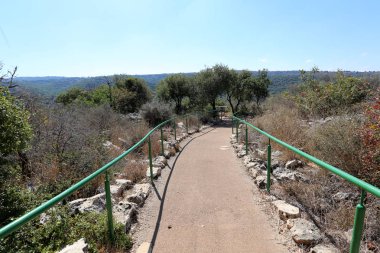 Kuzey İsrail şehir parkında yaya yolu 