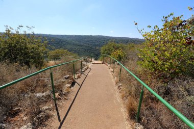 Kuzey İsrail şehir parkında yaya yolu 