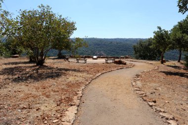 Kuzey İsrail şehir parkında yaya yolu 