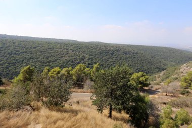 dağ manzarası Kuzey İsrail Batı Celile 