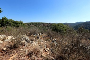 dağ manzarası Kuzey İsrail Batı Celile 