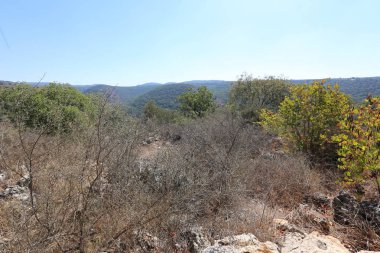 dağ manzarası Kuzey İsrail Batı Celile 