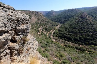 dağ manzarası Kuzey İsrail Batı Celile 