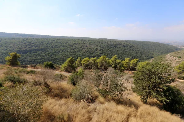 Mountain Landscape Western Galilee Northern Israel — Stock Photo, Image